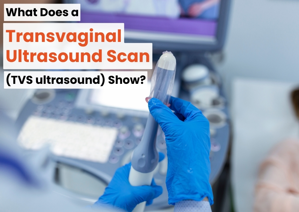 What Does a Transvaginal Ultrasound Scan (TVS ultrasound) Show?