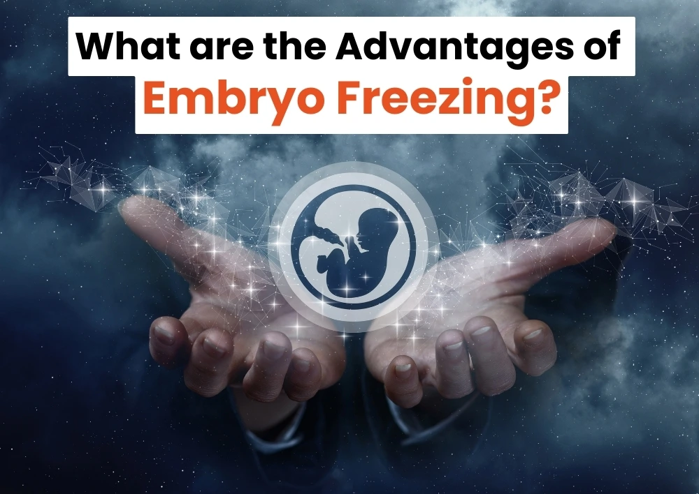 What are the Advantages of Embryo Freezing?