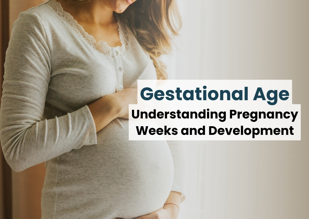 Gestational Age: Understanding Pregnancy Weeks and Development