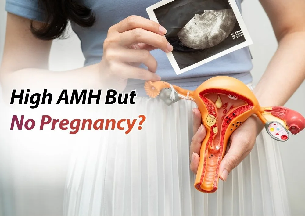 High AMH But No Pregnancy? Doctor Explains the Hidden Reasons