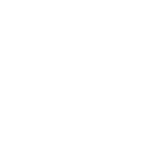 Celebration Cake