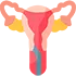 Endometrial Surgery