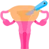Hysterectomy / Uterus Surgery