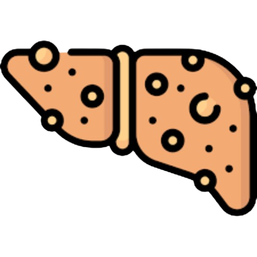 Fatty liver disease