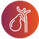 Gallbladder Polyps Treatment in Gurgaon