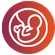 Chemical Pregnancy Treatment in Gurgaon